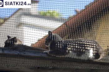 Siatki Kolno - Siatka na balkony dla kota i zabezpieczenie dzieci dla terenów Kolno